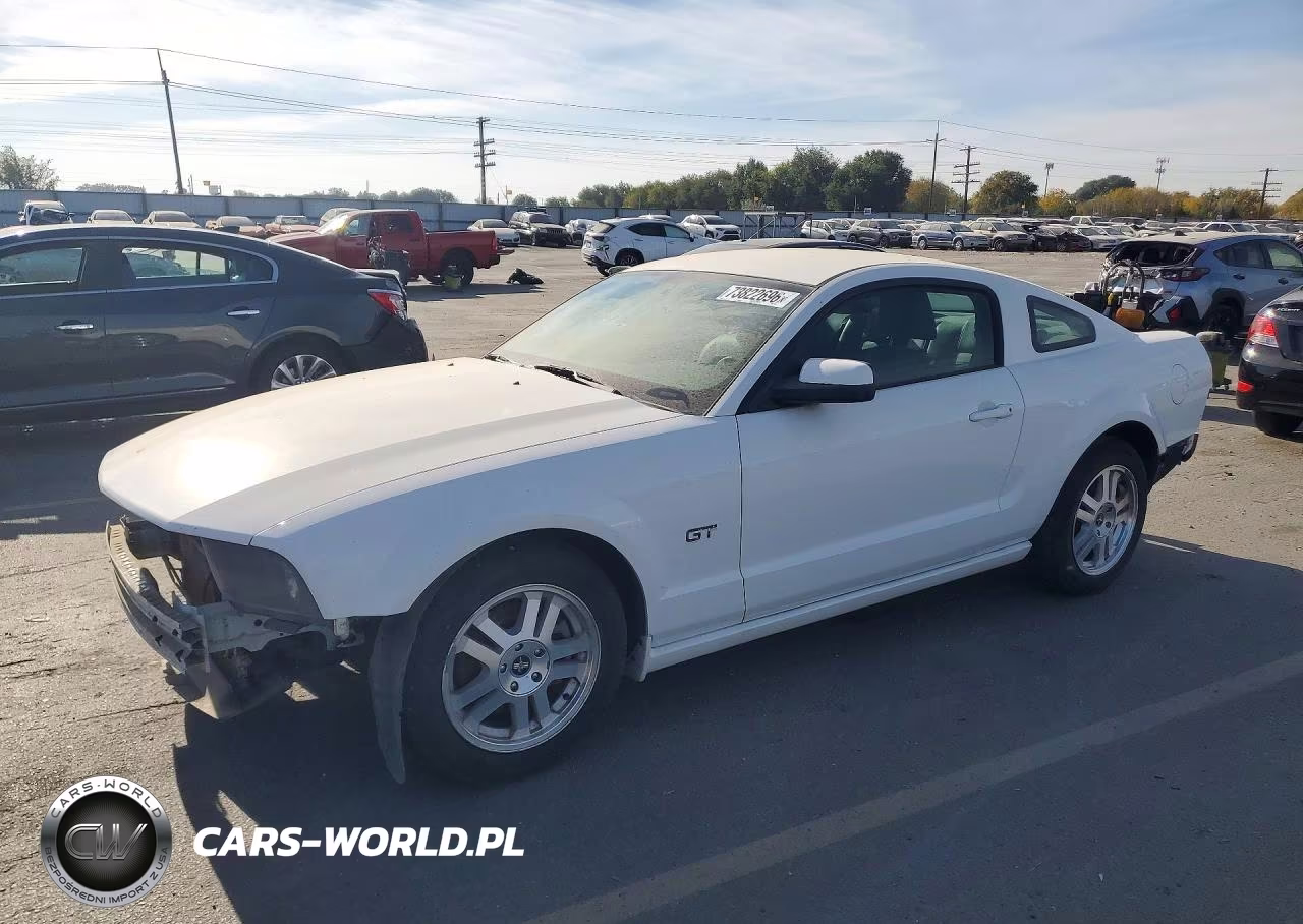 2006 Ford Mustang Gt VIN:1ZVHT82H365176822 - 1
