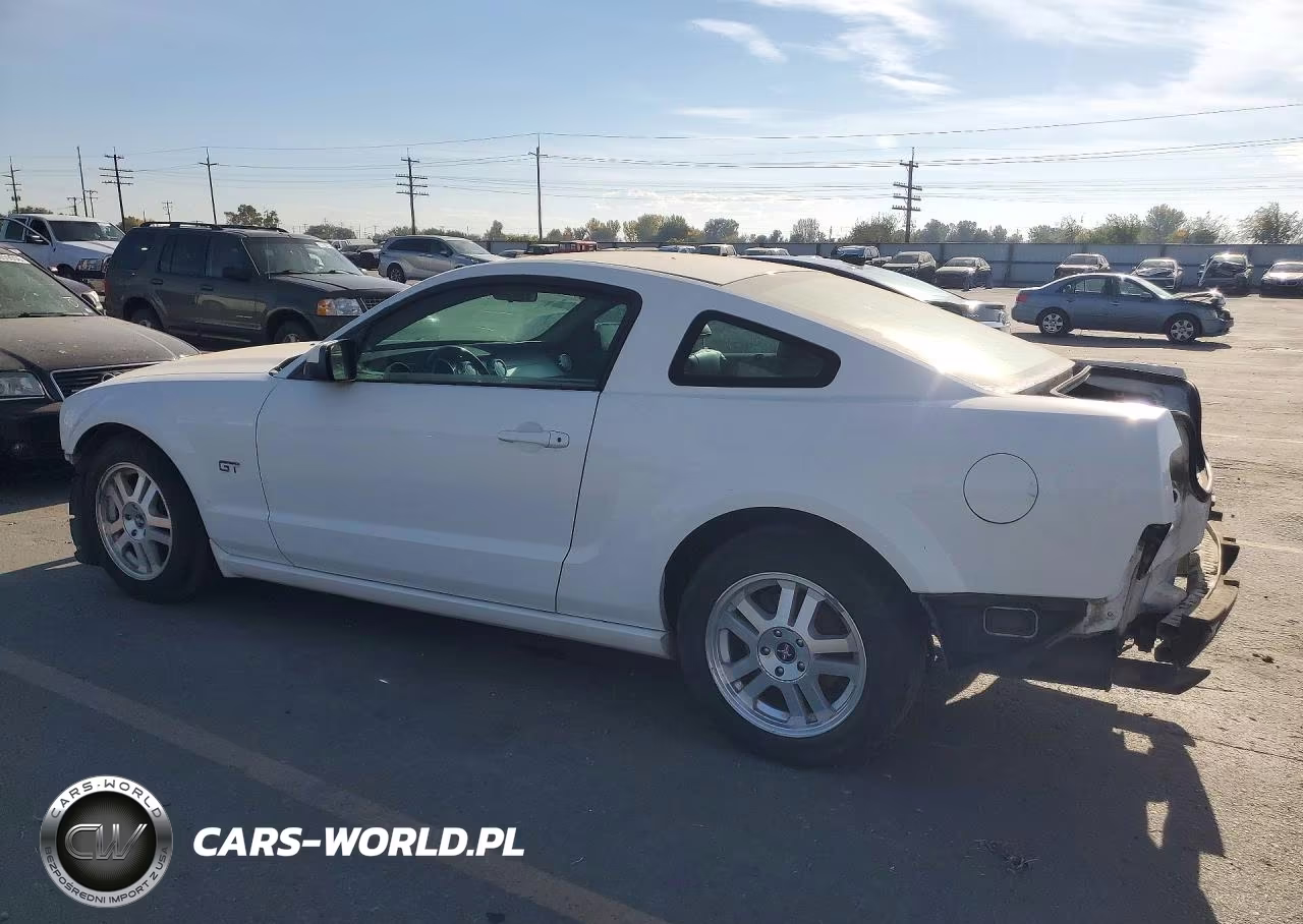 2006 Ford Mustang Gt VIN:1ZVHT82H365176822 - 2