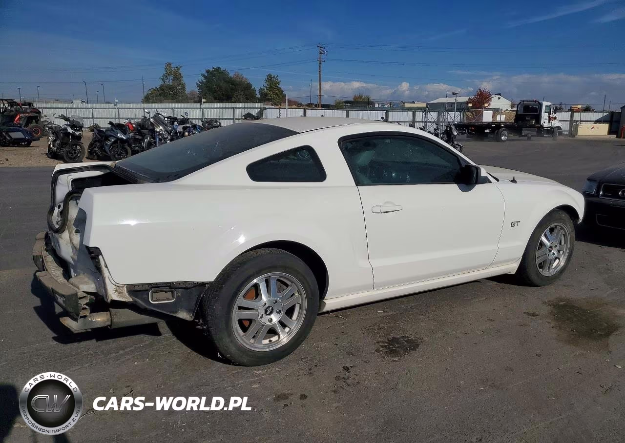 2006 Ford Mustang Gt VIN:1ZVHT82H365176822 - 3