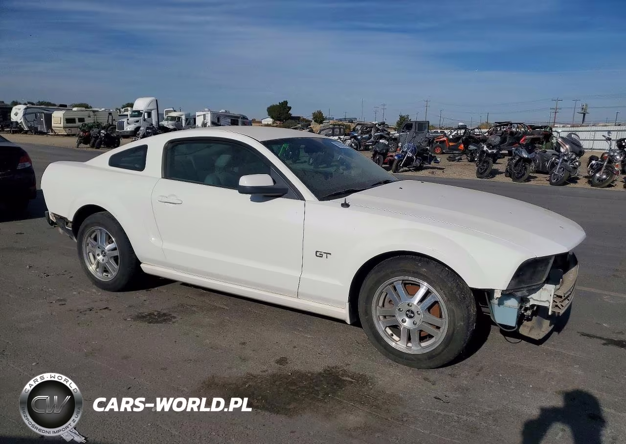 2006 Ford Mustang Gt VIN:1ZVHT82H365176822 - 4