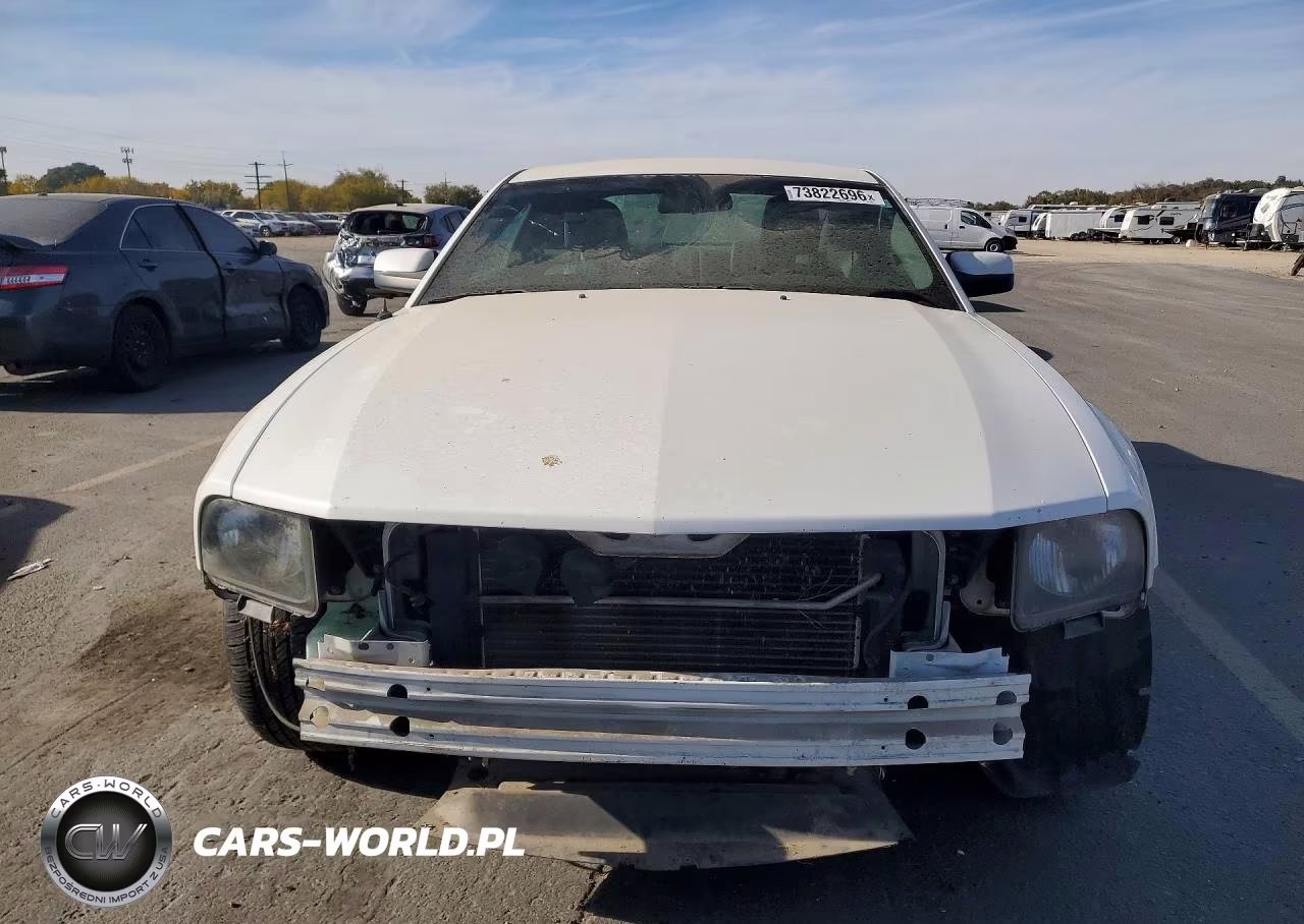 2006 Ford Mustang Gt VIN:1ZVHT82H365176822 - 5