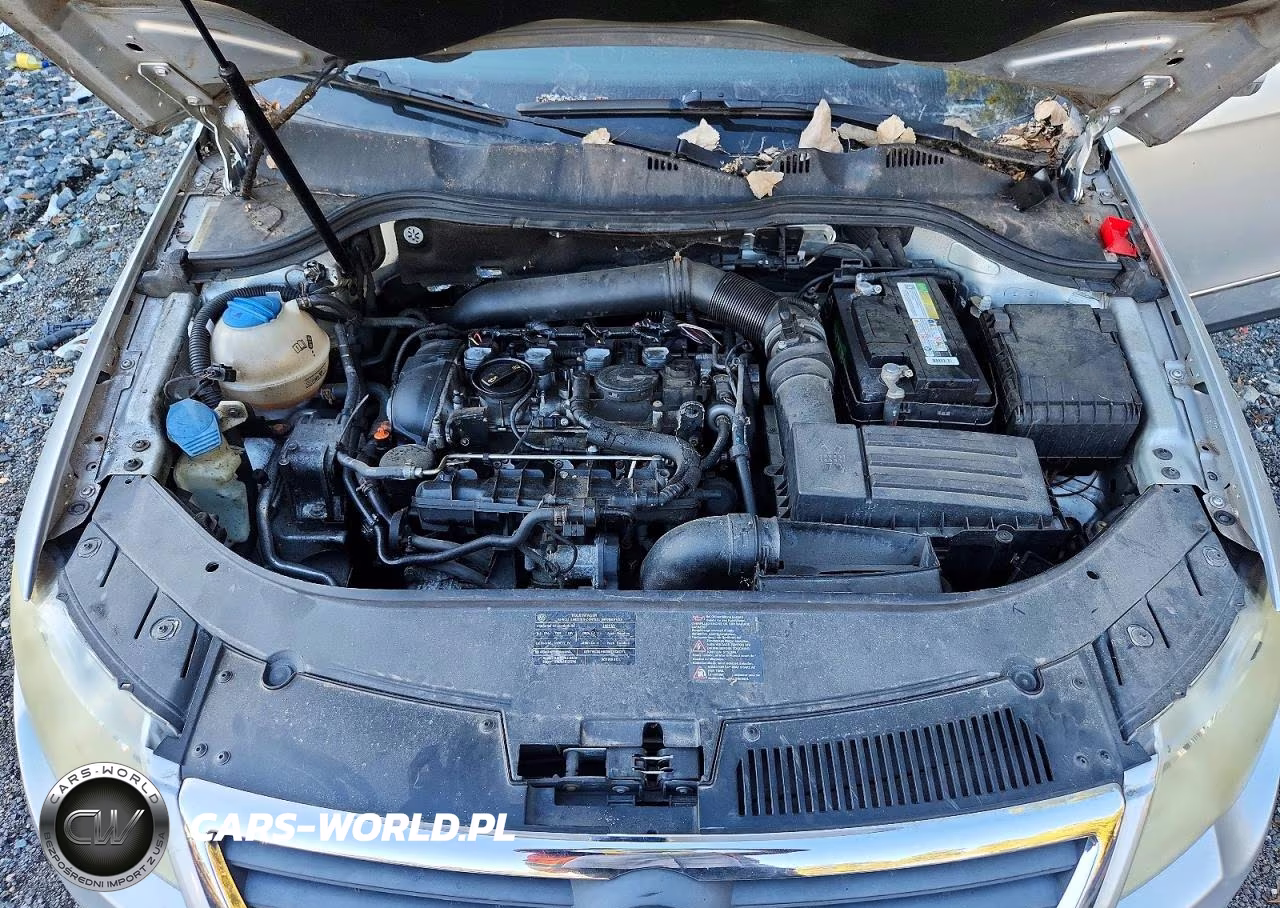 2009 Volkswagen Passat Turbo VIN:WVWJK73C29P025418 - 11