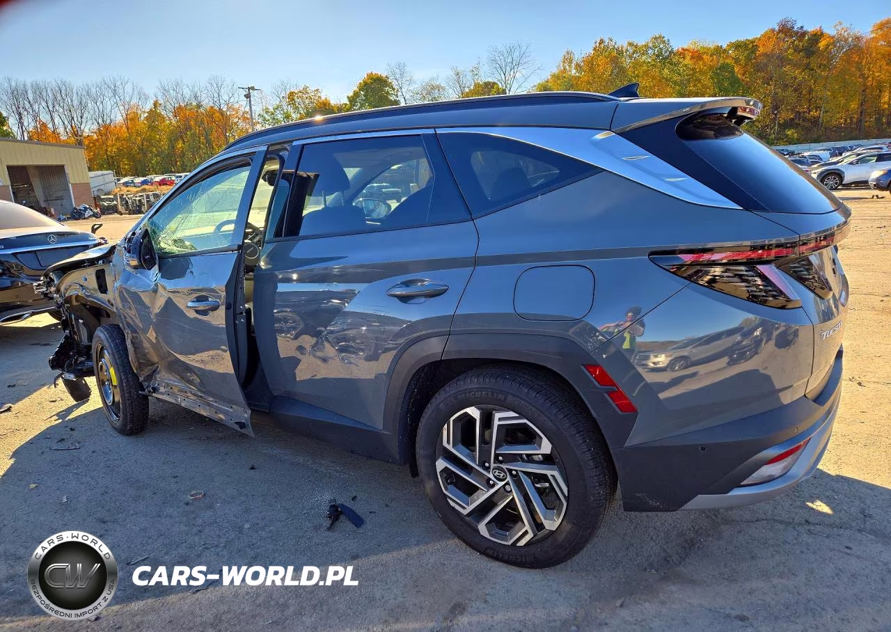 2025 Hyundai Tucson Limited VIN:5NMJECDE2SH490960 - 2