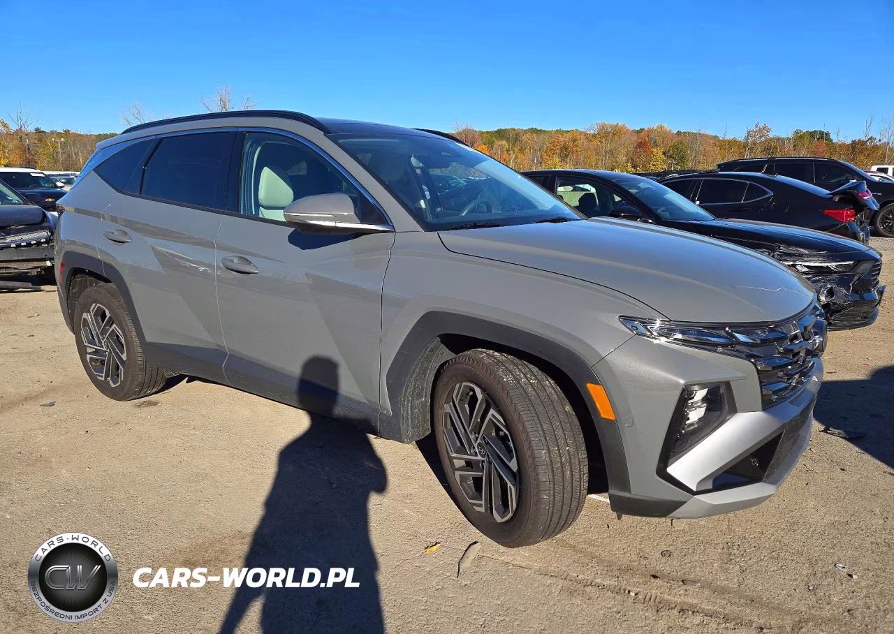 2025 Hyundai Tucson Limited VIN:5NMJECDE2SH490960 - 4