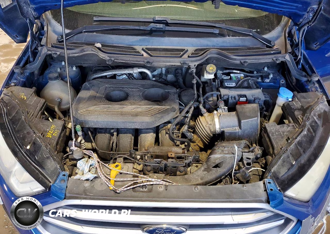 2018 Ford Ecosport Se VIN:MAJ6P1UL0JC220101 - 12