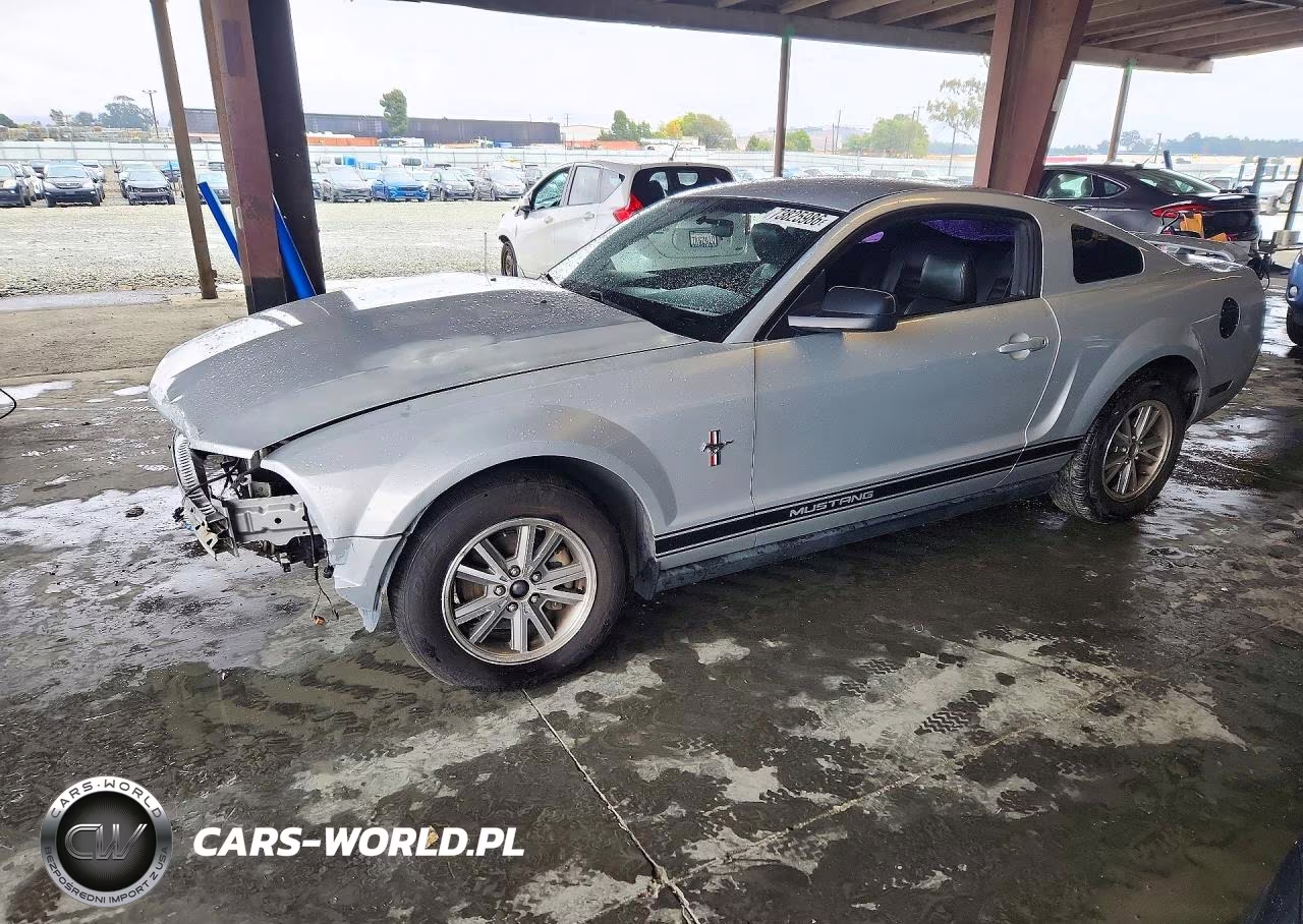 2005 Ford Mustang VIN:1ZVFT80N955260299 - 1