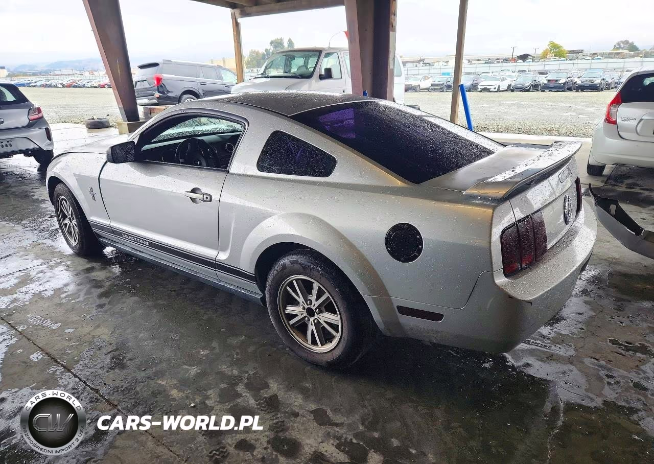2005 Ford Mustang VIN:1ZVFT80N955260299 - 2