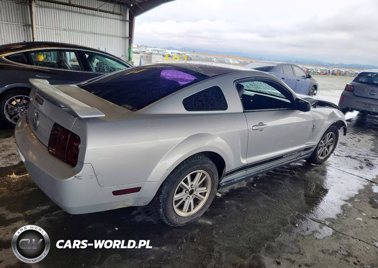 2005 Ford Mustang VIN:1ZVFT80N955260299 - 3