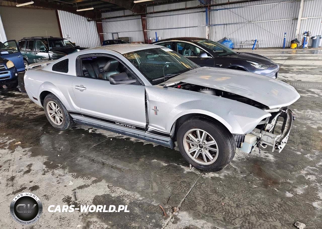 2005 Ford Mustang VIN:1ZVFT80N955260299 - 4