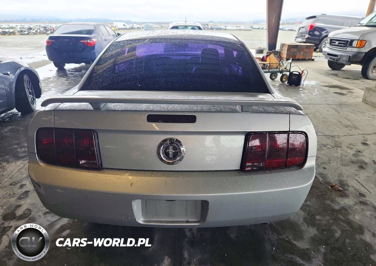 2005 Ford Mustang VIN:1ZVFT80N955260299 - 6