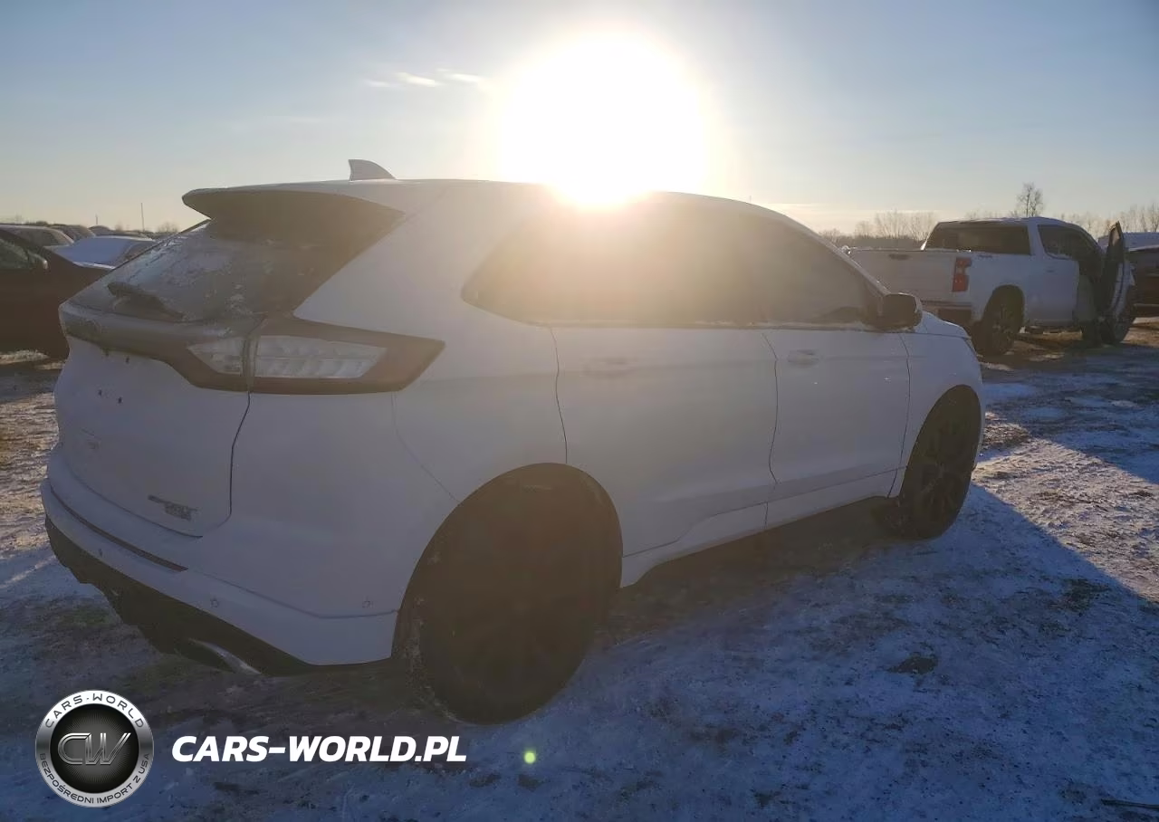 2016 Ford Edge Sport VIN:2FMPK4APXGBB19979 - 3