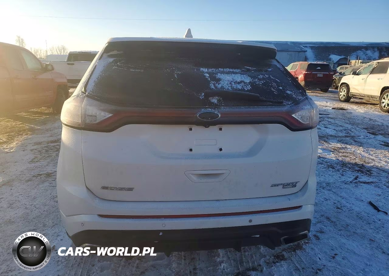 2016 Ford Edge Sport VIN:2FMPK4APXGBB19979 - 6