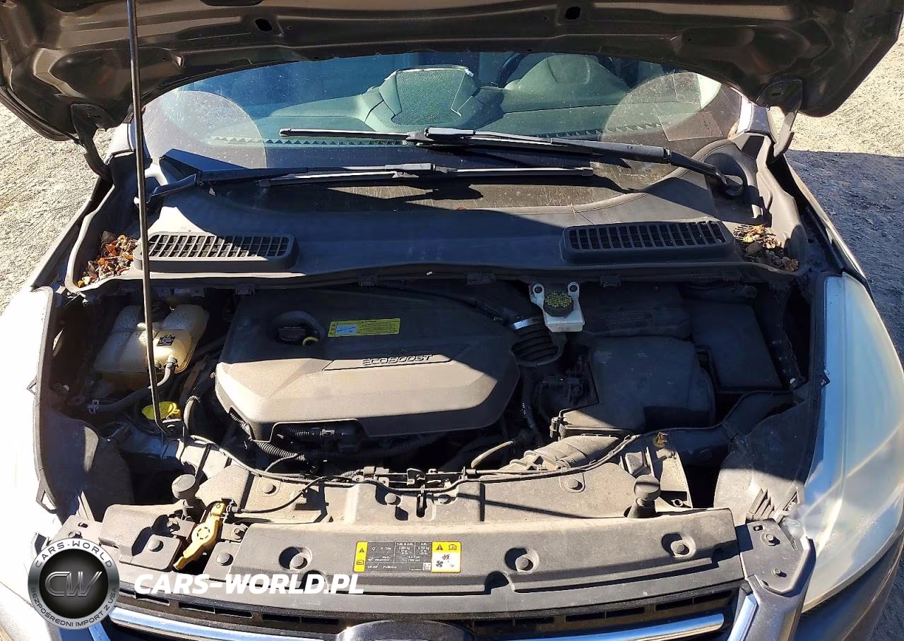 2013 Ford Escape Sel VIN:1FMCU0HXXDUB22104 - 11