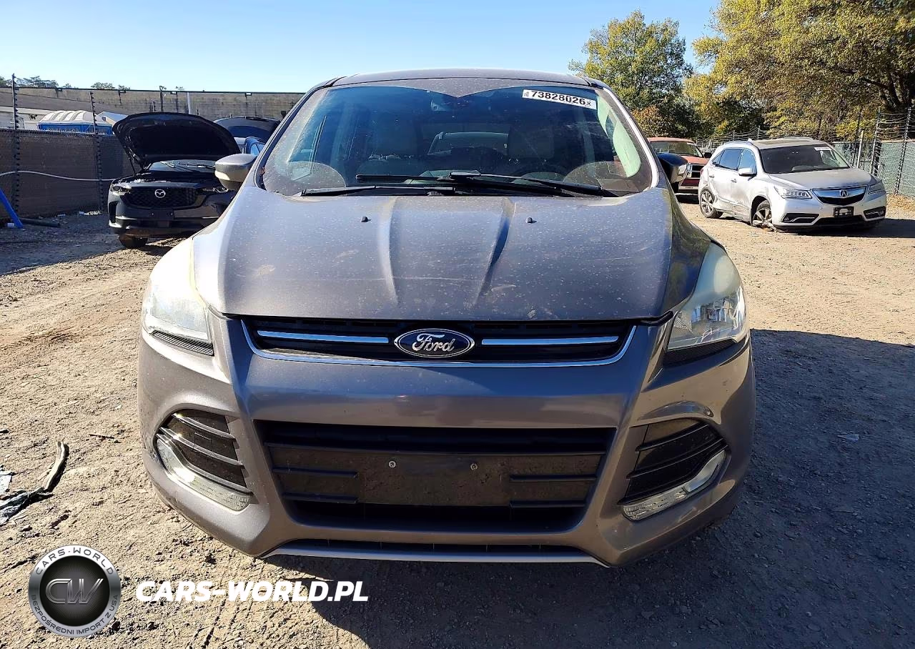 2013 Ford Escape Sel VIN:1FMCU0HXXDUB22104 - 5