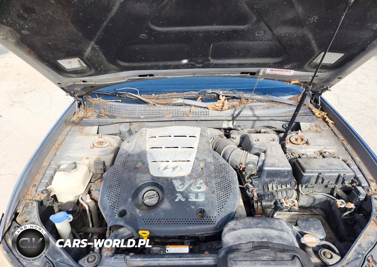 2006 Hyundai Sonata Gls V6 VIN:5NPEU46F86H004502 - 11