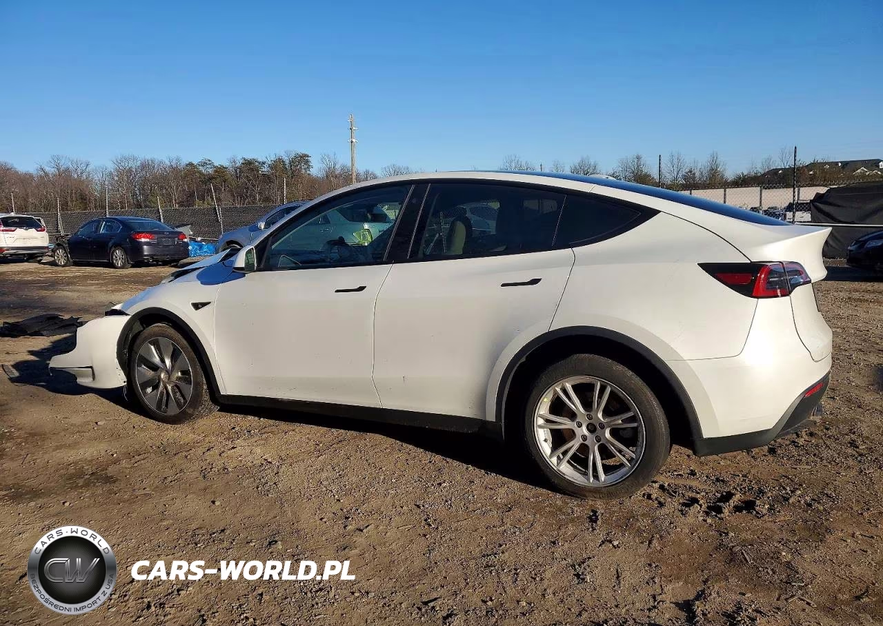 2023 Tesla Model Y VIN:7SAYGDEE4PF674287 - 2