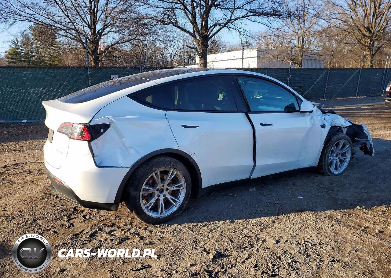 2023 Tesla Model Y VIN:7SAYGDEE4PF674287 - 3