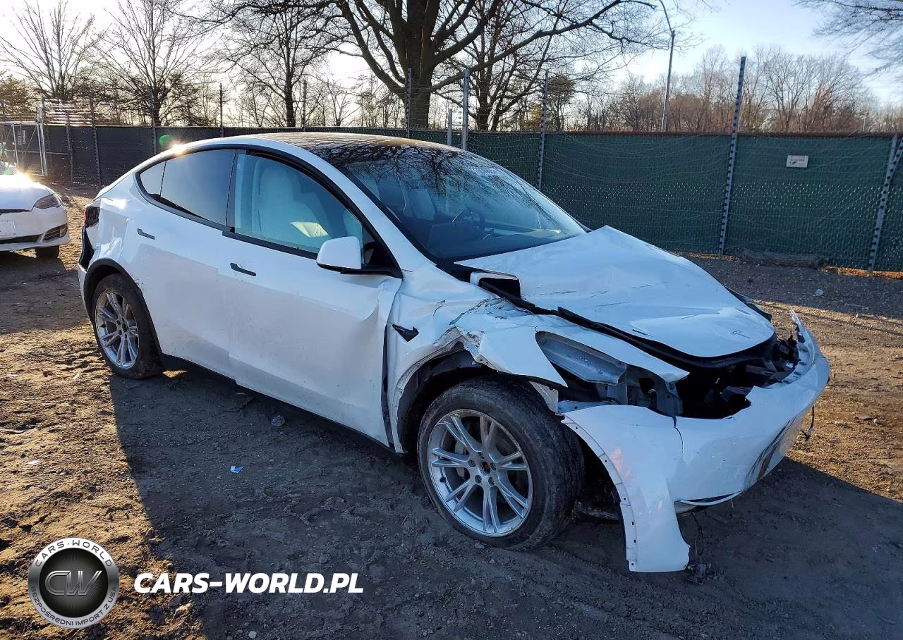 2023 Tesla Model Y VIN:7SAYGDEE4PF674287 - 4