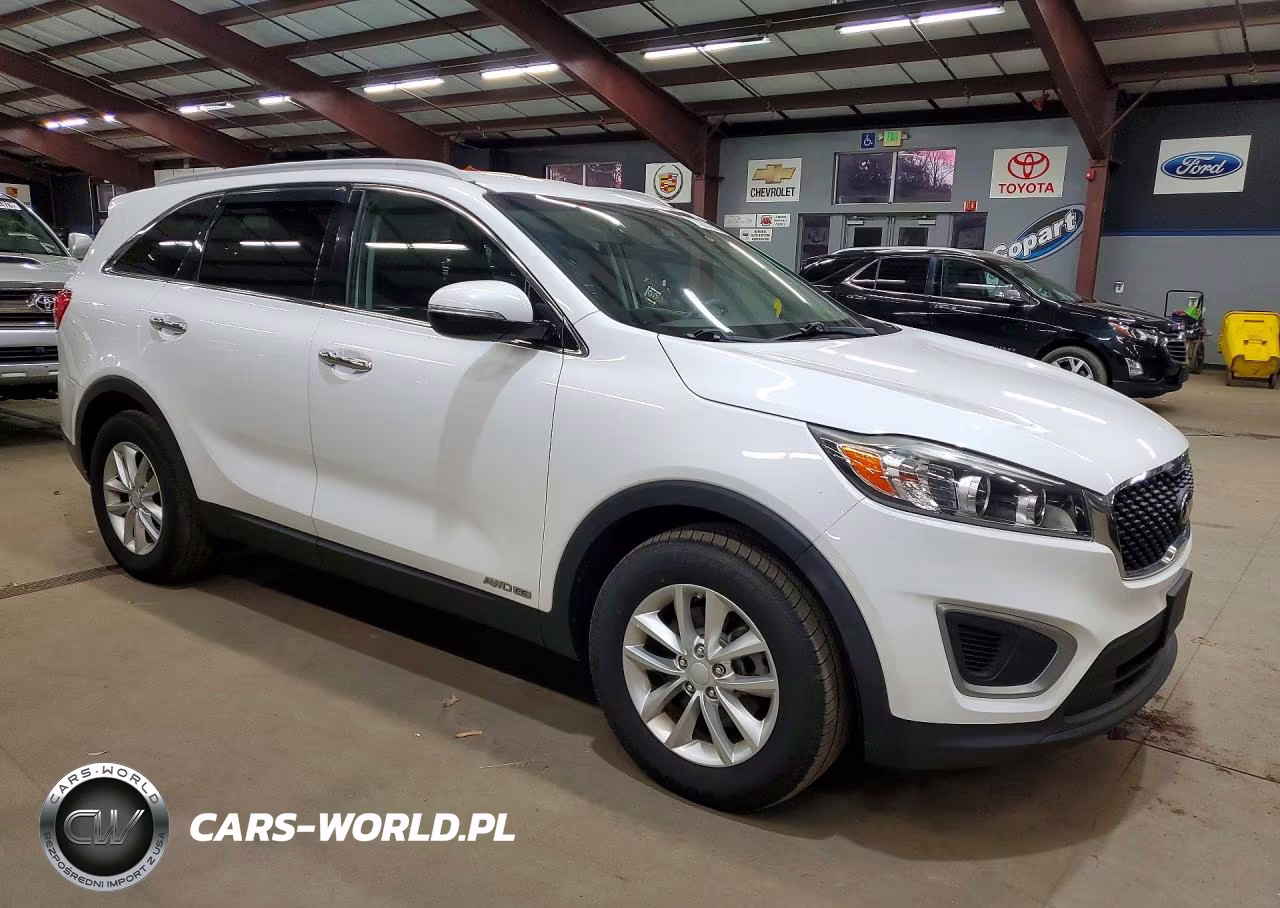 2016 Kia Sorento Lx V6 VIN:5XYPGDA59GG043462 - 4