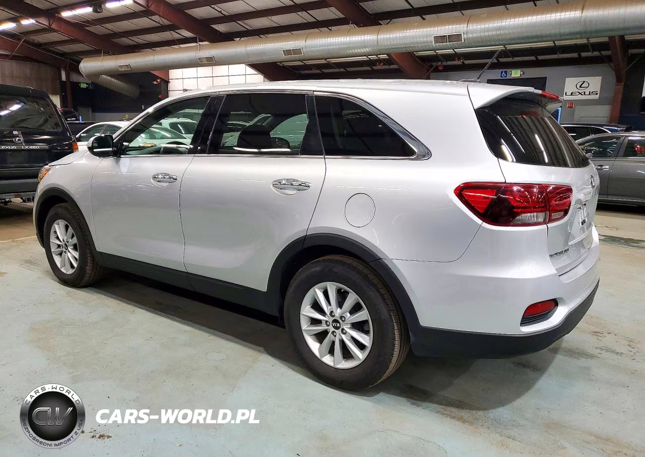 2019 Kia Sorento Lx VIN:5XYPGDA38KG568715 - 2