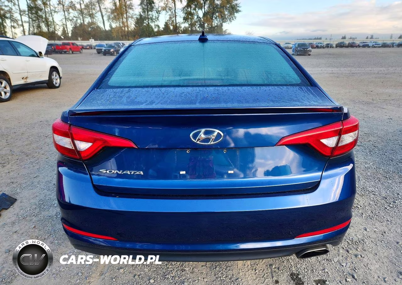 2015 Hyundai Sonata Se VIN:5NPE24AF8FH184691 - 6