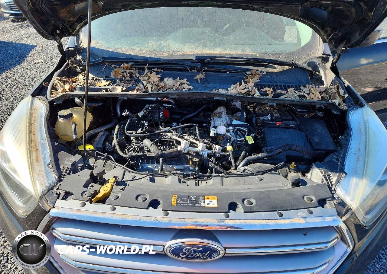2017 Ford Escape Se VIN:1FMCU0GD2HUD38672 - 12
