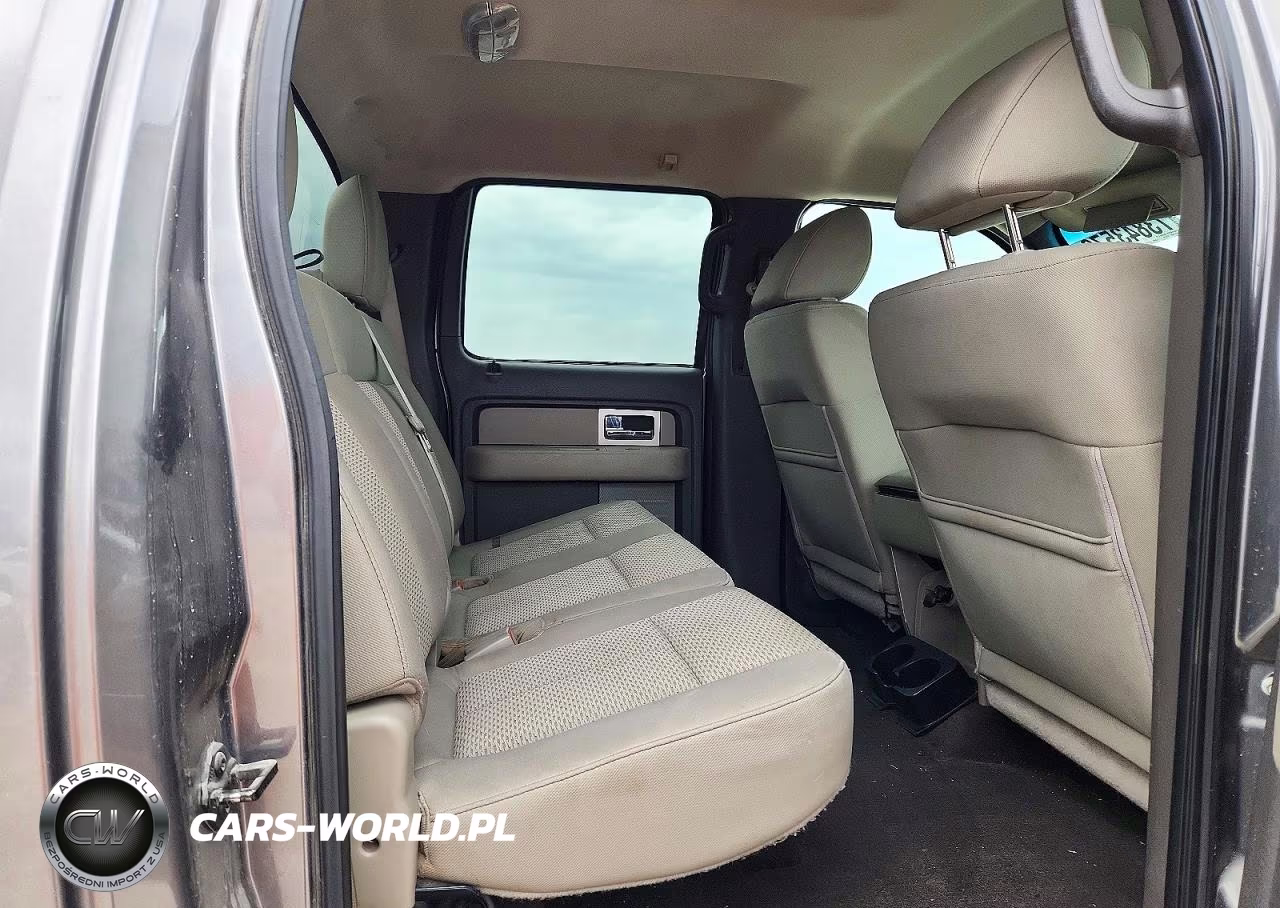2010 Ford F150 Supercrew VIN:1FTFW1EV3AFB12292 - 10