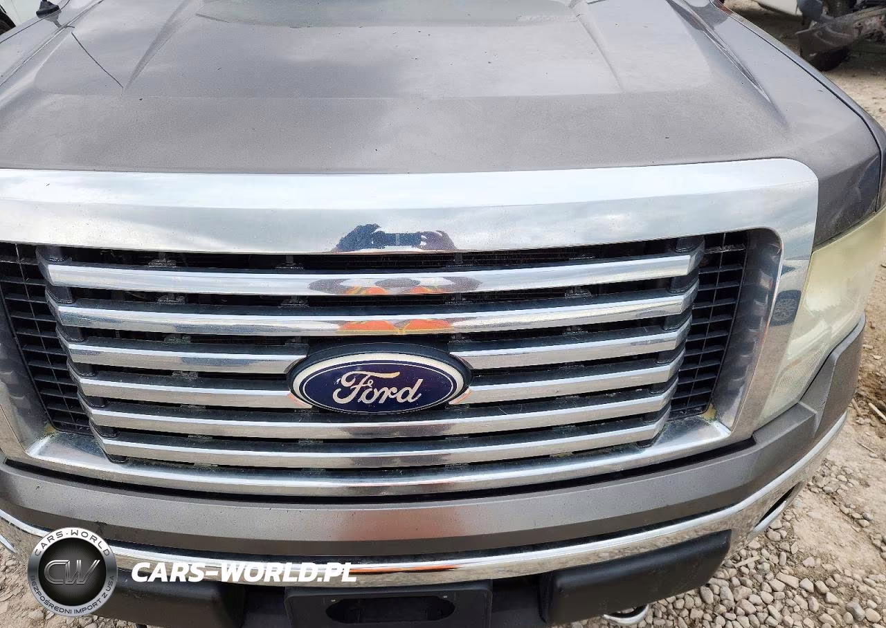 2010 Ford F150 Supercrew VIN:1FTFW1EV3AFB12292 - 11