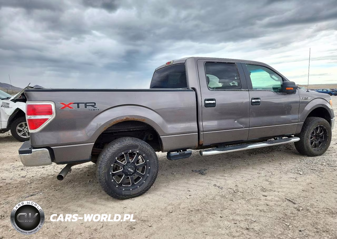 2010 Ford F150 Supercrew VIN:1FTFW1EV3AFB12292 - 3