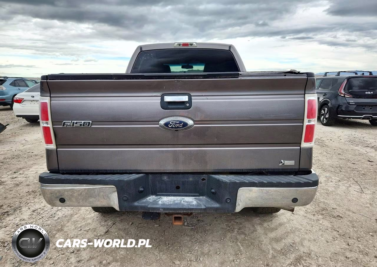 2010 Ford F150 Supercrew VIN:1FTFW1EV3AFB12292 - 6