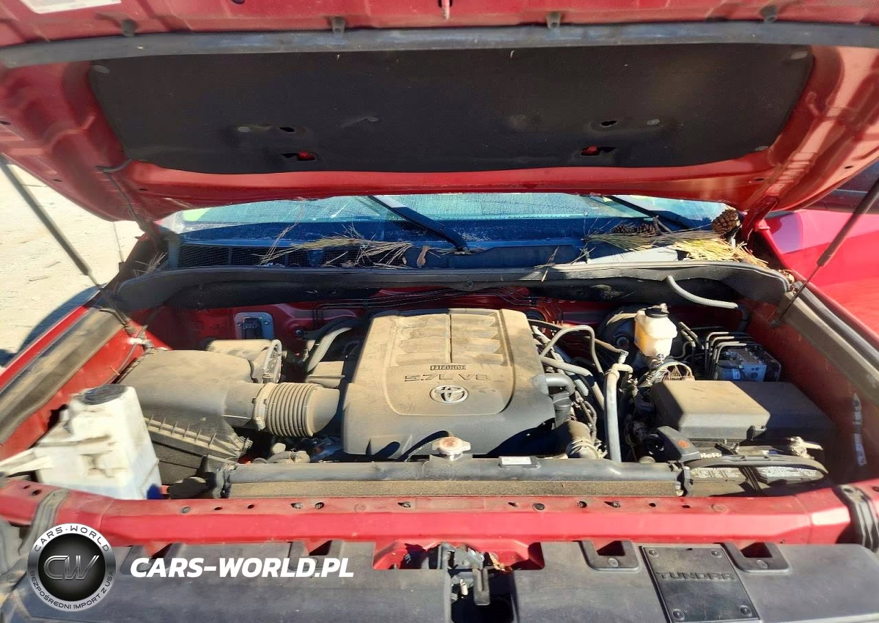 2019 Toyota Tundra Crewmax Sr5 VIN:5TFEY5F14KX247561 - 11