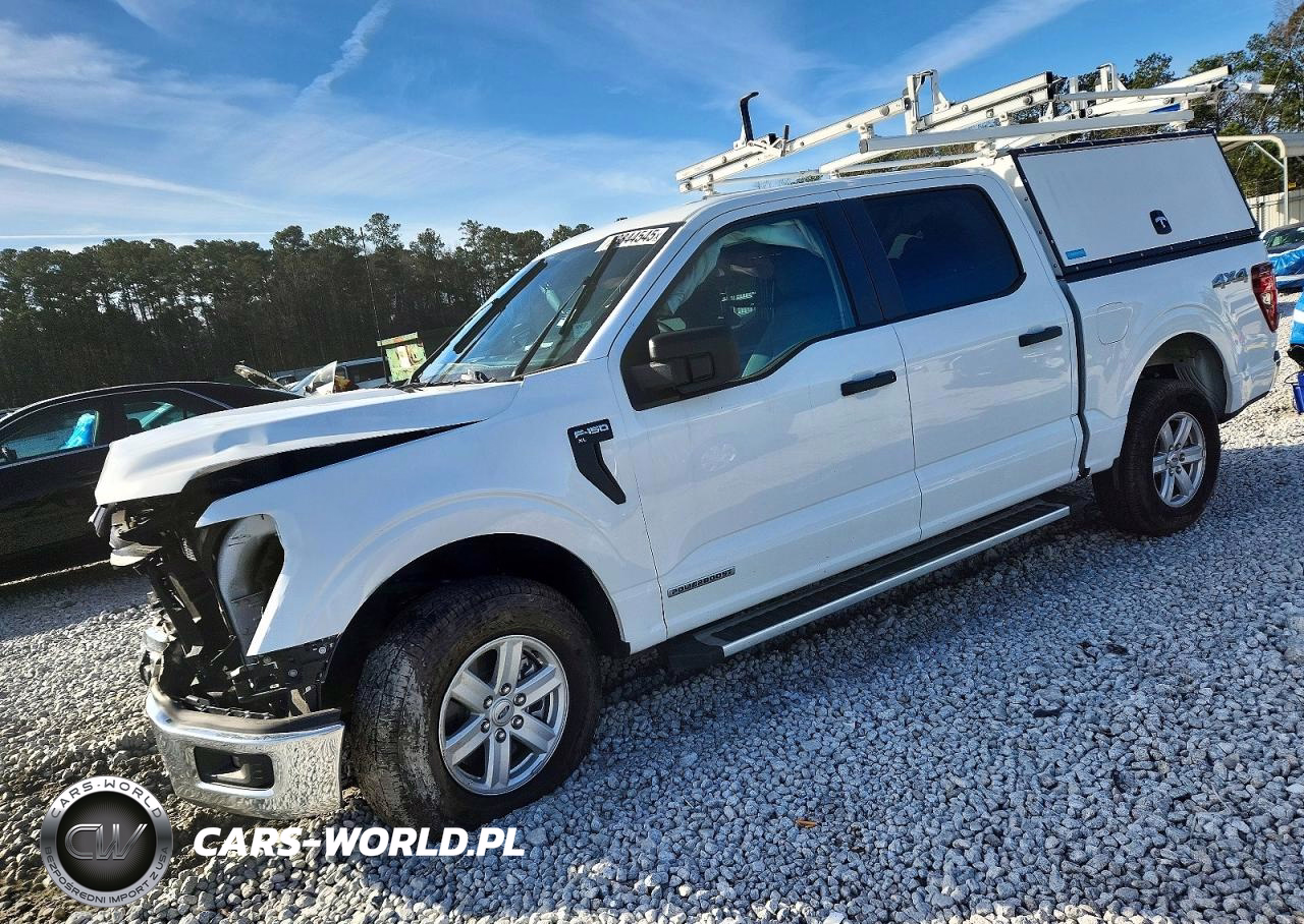 2025 Ford F150 Xl Utility - Service Truck