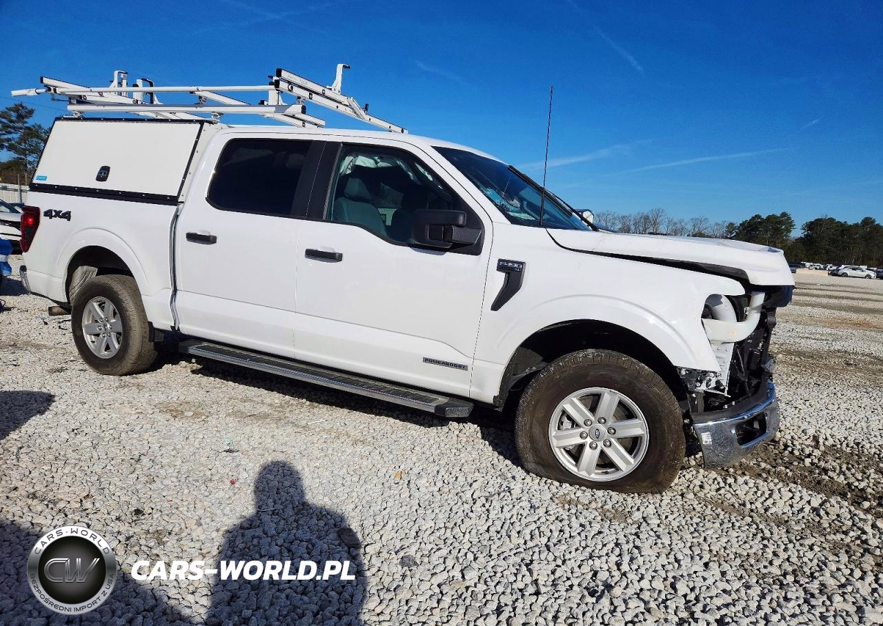 2025 Ford F150 Xl Utility - Service Truck VIN:1FTFW1FD7SFA47552 - 4