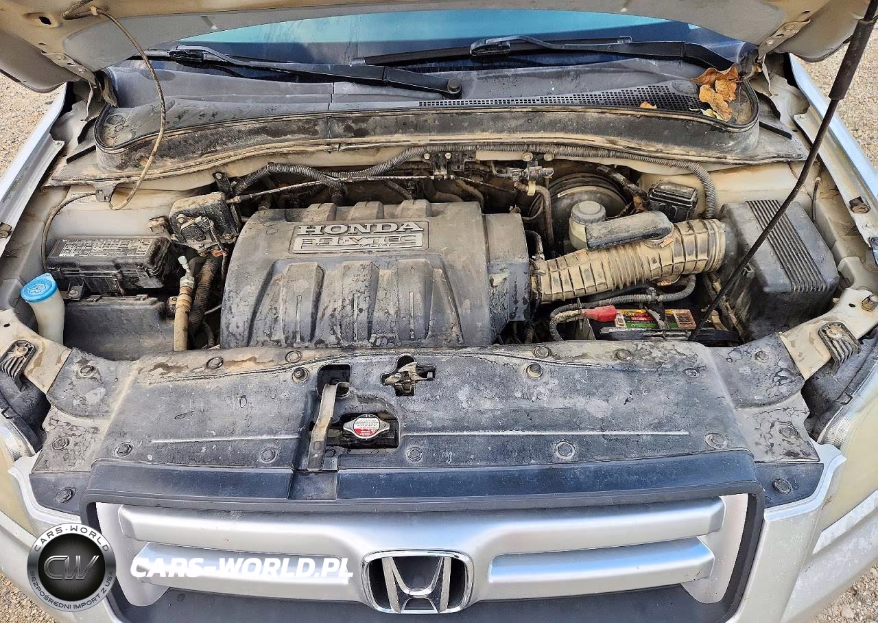 2007 Honda Pilot Exl VIN:5FNYF28567B030743 - 12