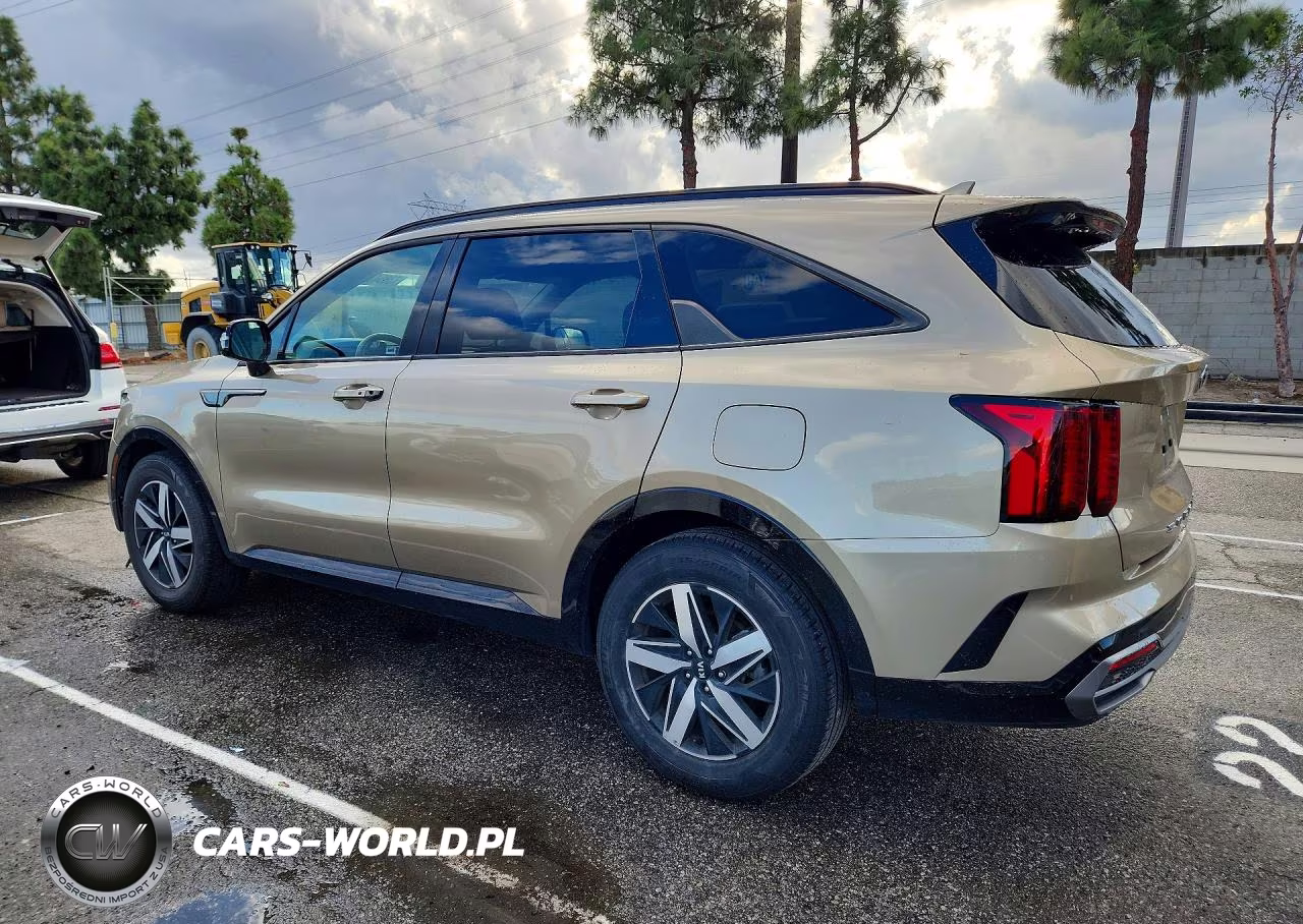 2021 Kia Sorento S VIN:5XYRL4LC0MG060310 - 2