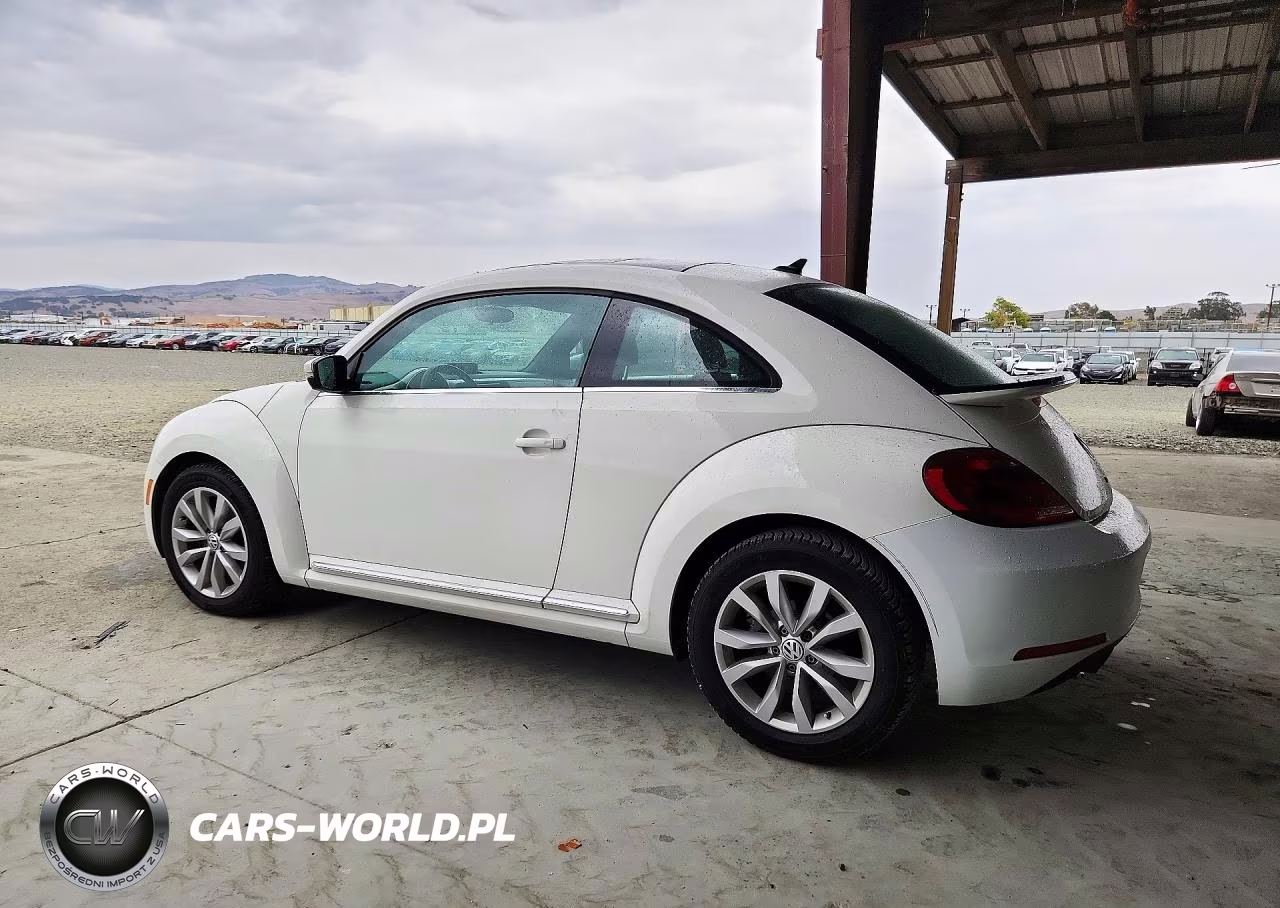 2013 Volkswagen Beetle VIN:3VWRL7AT0DM656246 - 2