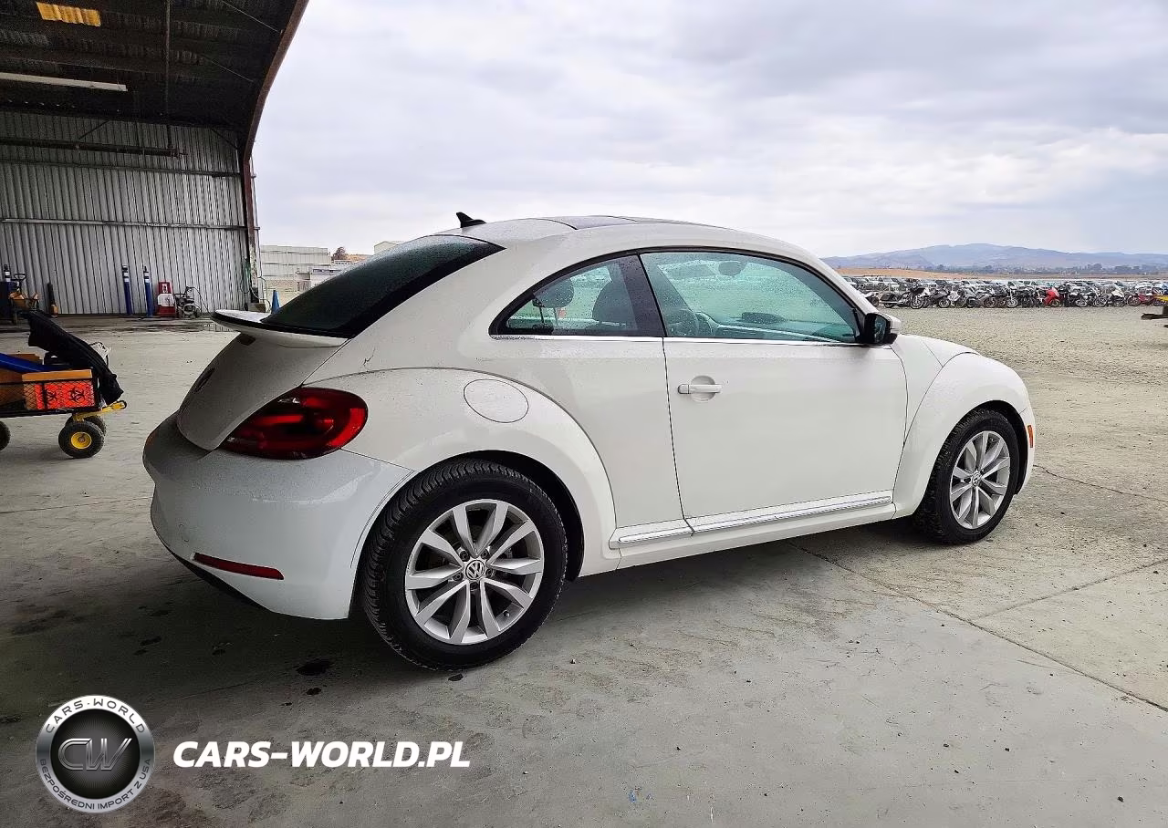 2013 Volkswagen Beetle VIN:3VWRL7AT0DM656246 - 3