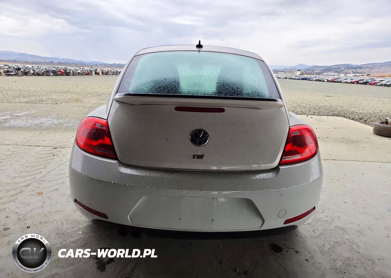2013 Volkswagen Beetle VIN:3VWRL7AT0DM656246 - 6