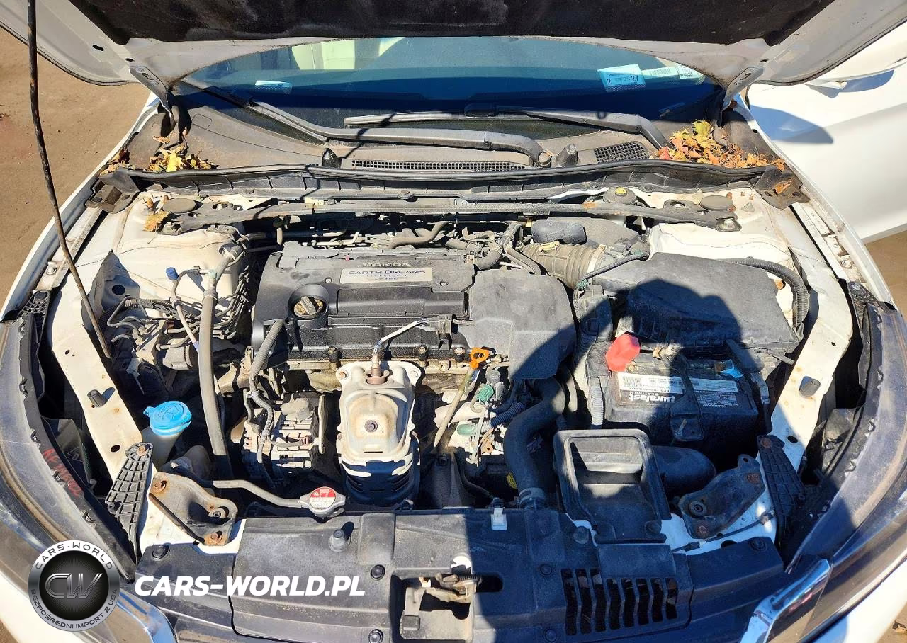 2013 Honda Accord Exl VIN:1HGCR2F81DA008671 - 11