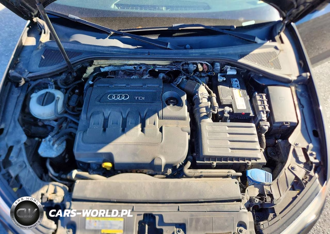 2015 Audi A3 Premium Plus VIN:WAUCJGFF1F1065552 - 11