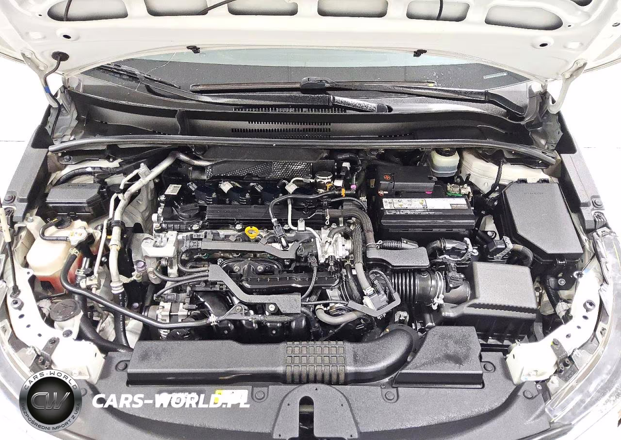 2021 Toyota Corolla Se VIN:JTDP4MCE5MJ060020 - 11