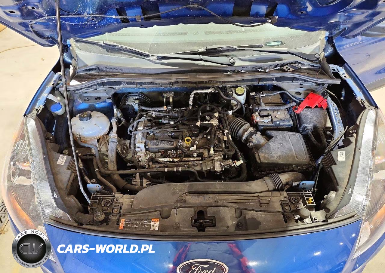 2022 Ford Escape Se VIN:1FMCU0G68NUA62026 - 12