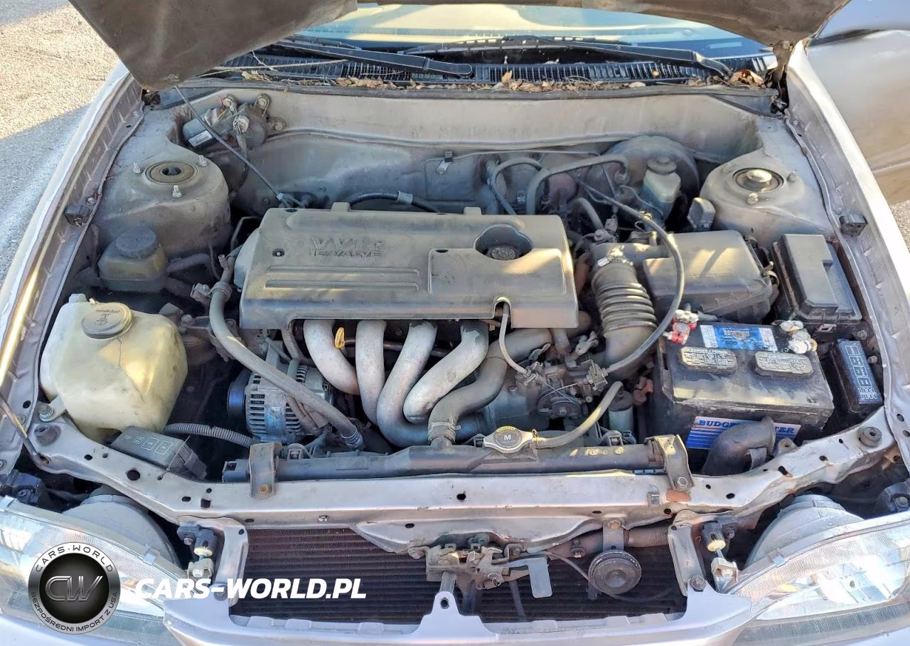 2000 Toyota Corolla Ve VIN:1NXBR12E7YZ405172 - 11