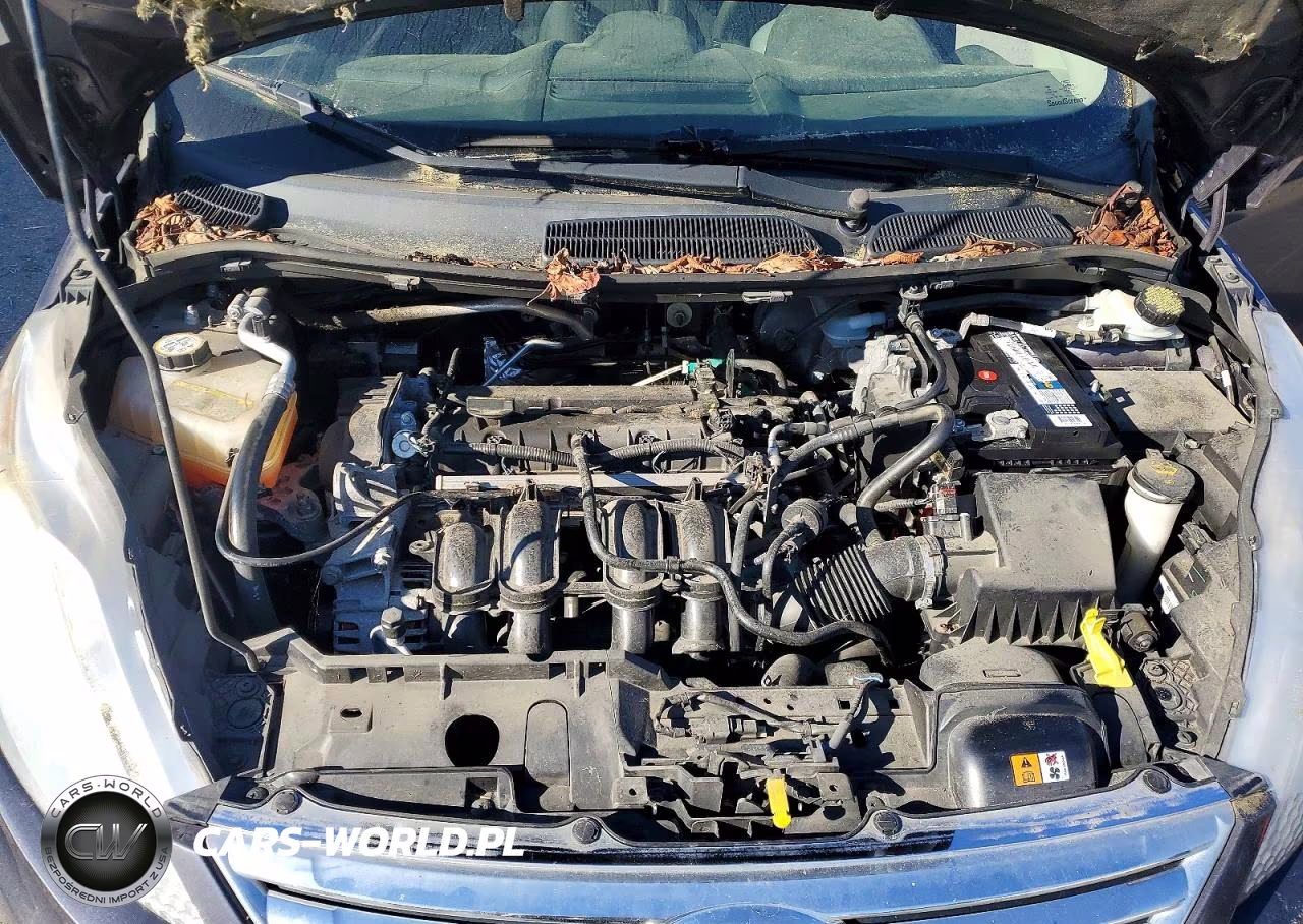 2013 Ford Fiesta Se VIN:3FADP4BJ7DM215068 - 11