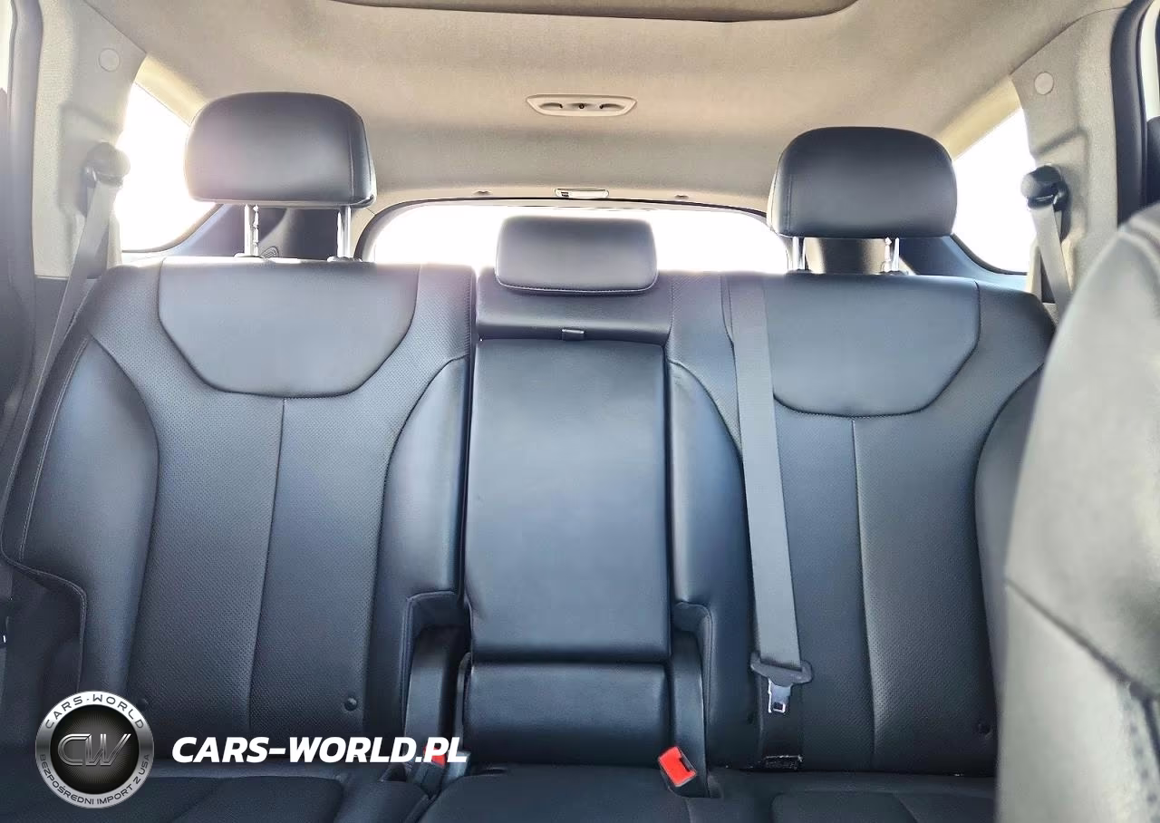 2020 Hyundai Santa Fe Limited 2.0T VIN:5NMS53AA7LH173702 - 10