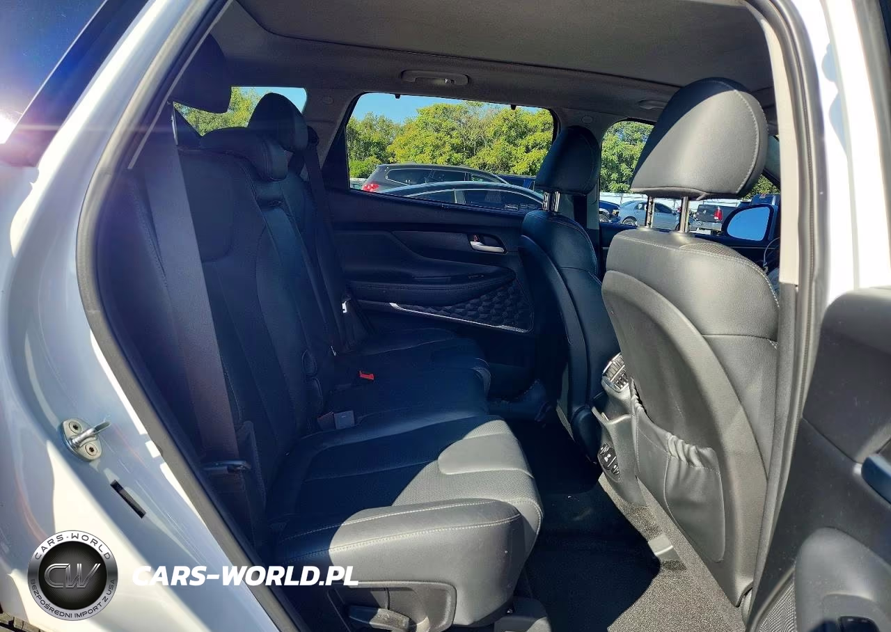 2020 Hyundai Santa Fe Limited 2.0T VIN:5NMS53AA7LH173702 - 11