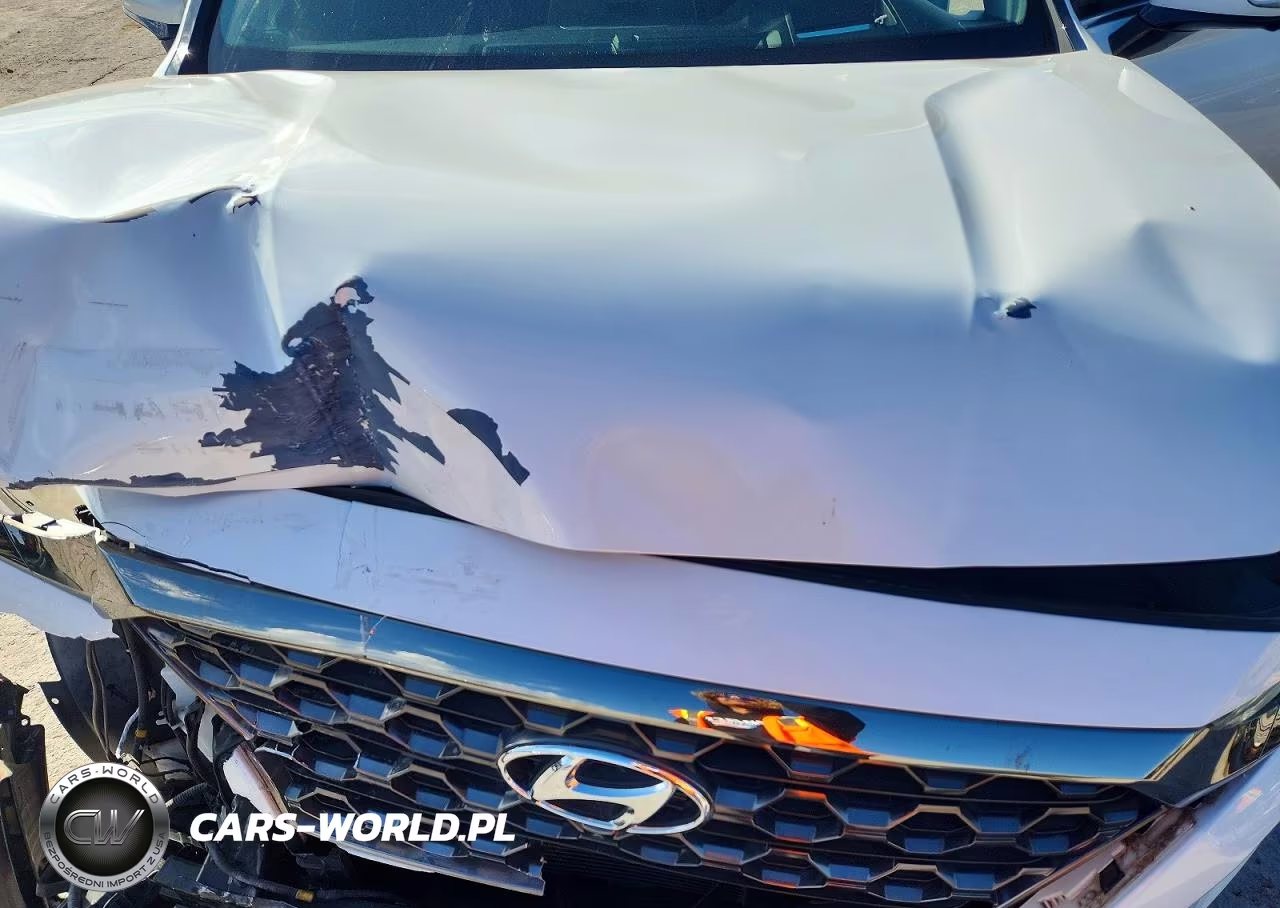 2020 Hyundai Santa Fe Limited 2.0T VIN:5NMS53AA7LH173702 - 12