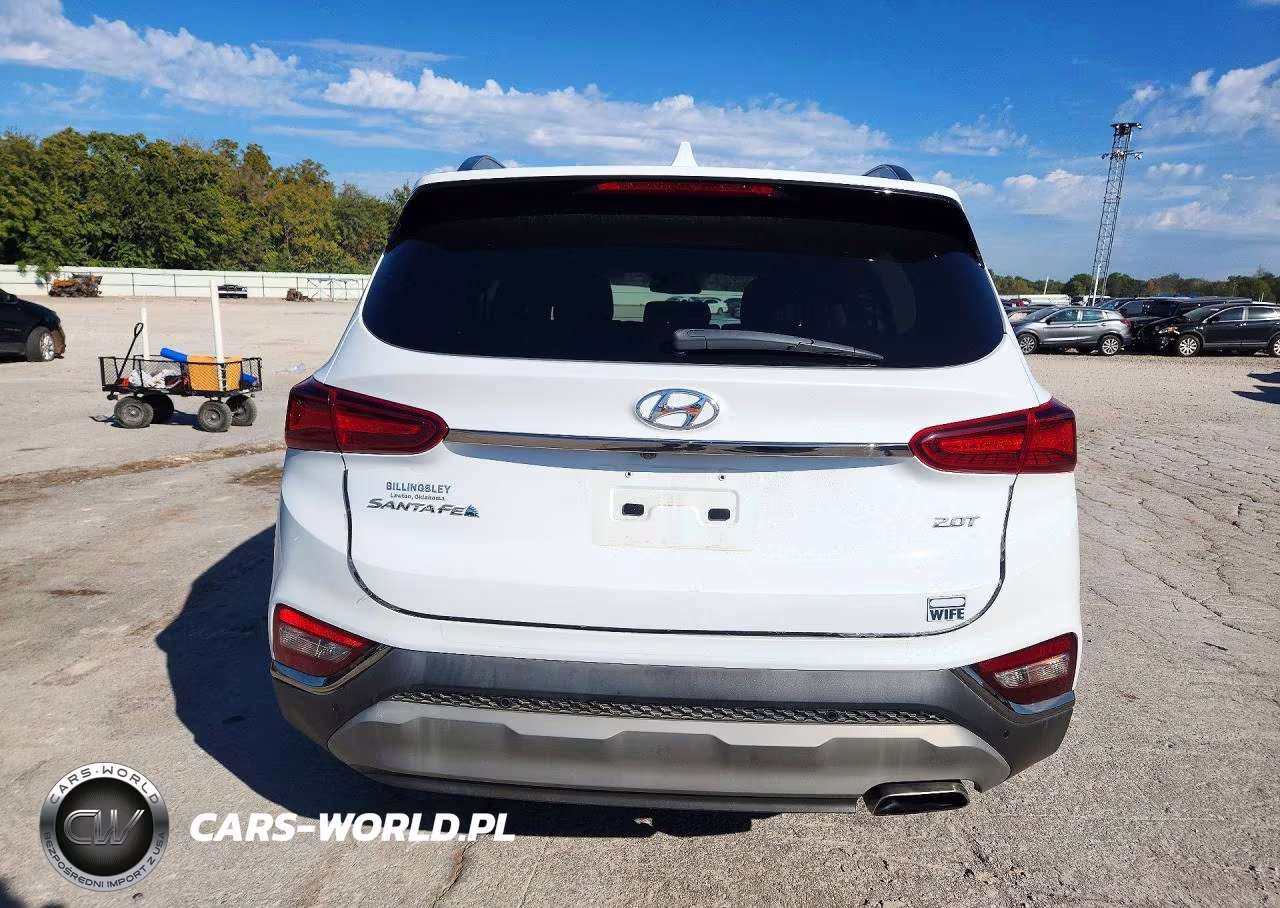 2020 Hyundai Santa Fe Limited 2.0T VIN:5NMS53AA7LH173702 - 6