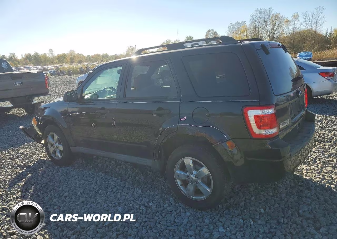 2011 Ford Escape Xlt VIN:1FMCU9DG1BKA73331 - 2