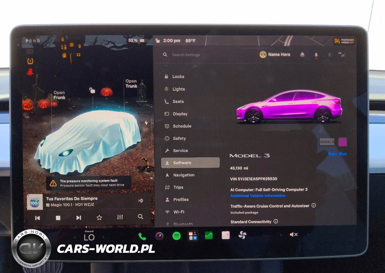 2023 Tesla Model 3 VIN:5YJ3E1EA5PF625530 - 9